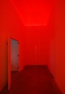 Valor ante la vida (Barrio de La Ribera, Barcelona, otoño, 2010) CHEQUE EN BLANCO…