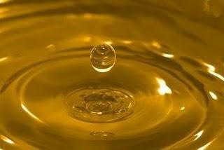¿Qué es el aceite de Argán? Propiedades y beneficios del aceite de Argán