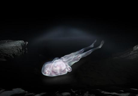 Croix Gagnon y Frank Schott – 12:31 Croix Gagnon y Frank Schott – 12:31