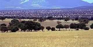 El Parque nacional Cabañeros
