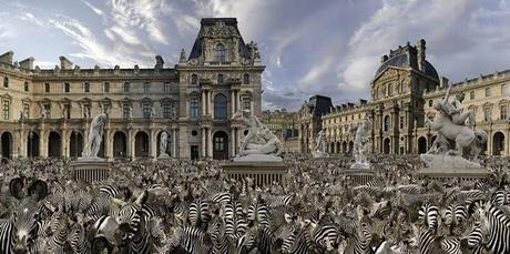 De lo más grande a lo más pequeño. Hiperfotografía. De lo más grande a lo más pequeño. Hiperfotografía.