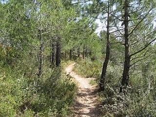 Tirada larga de MTB: Lleida - Tarragona (Todo senderos). Crónica.