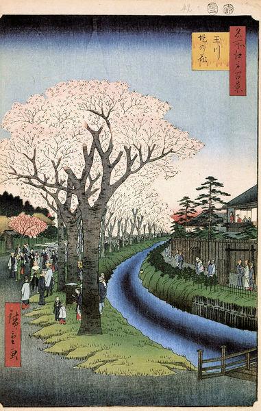 Japón, hermoso y contradictorio