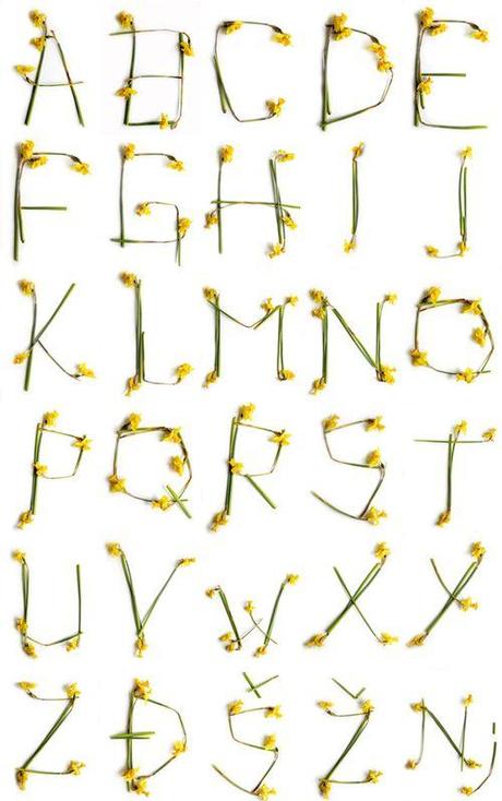 Tipografías creativas