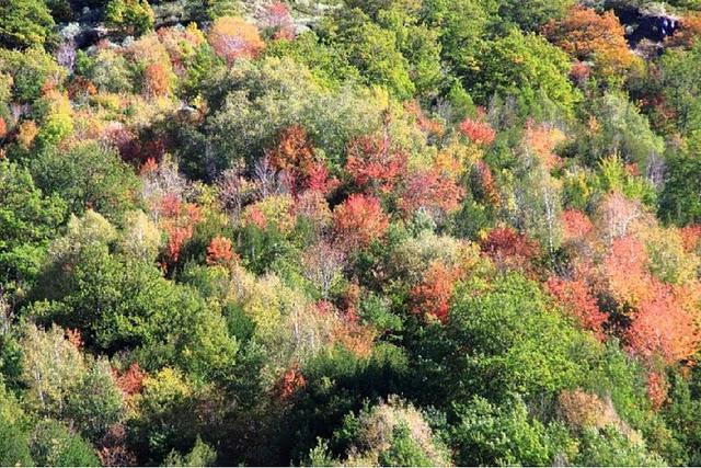 Las entrañas de la Cordillera Cantábrica