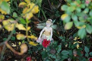 Mi Hada Màgica (Vitoria-Junguitu, otoño 2010) MI HADA MÁGICA!