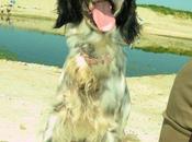 Santa Romy vuelven visitar