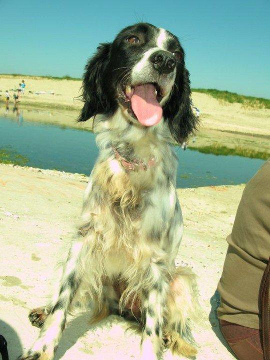 Santa y Romy nos vuelven a visitar :)