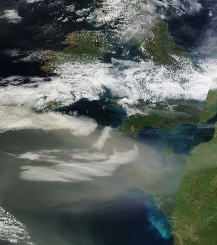 Intensa campaña de FUMIGACION en Canarias y Europa