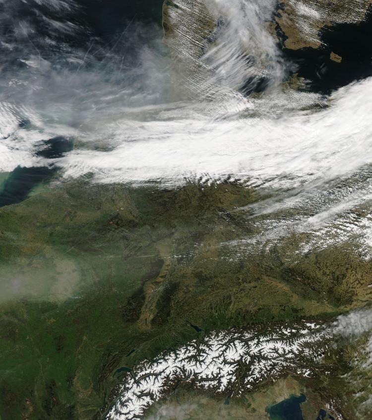 Intensa campaña de FUMIGACION en Canarias y Europa