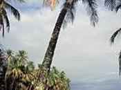 Parque nacional Cahuita