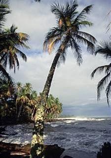 El Parque nacional Cahuita