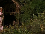 Obstinación solitaria