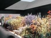 Peter Zumthor Unveils Sheltered Garden 2011 Serpentine Pavilion Inhabitat Green Design Will Save World