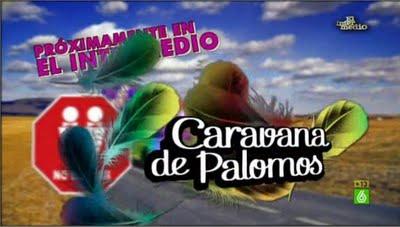 La Caravana de Palomos de El Intermedio llega a Badajoz