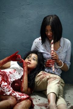 Bedevilled (Jang Cheol-soo, 2010)