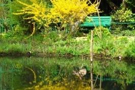 Los jardines de Claude Monet en Francia