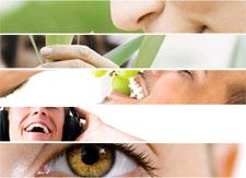 Joshua Bell. Desde las percepciones.