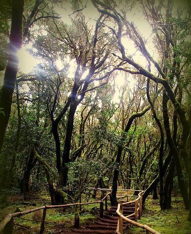 Concurso de Aniversario: Concursante 6 (Patricia)