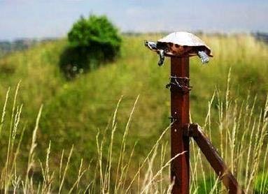 CREANDO CONCIENCIA A LA HORA DE VOTAR.