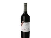 Curso Cata Assemblage Vertical Spiga 02-06