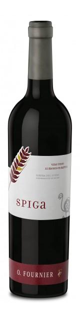 Curso de Cata en Assemblage – Vertical de Spiga 02-06