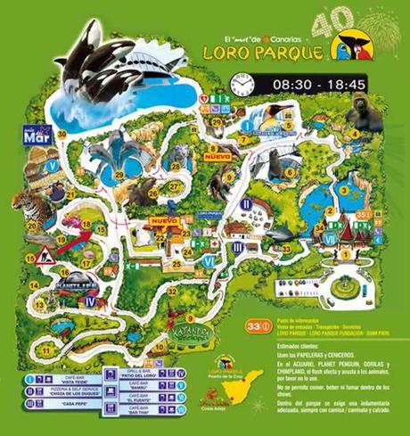 Visita al Loro Parque de Tenerife