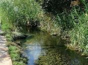 Comtal Montcada Bifurcació Torre Baró