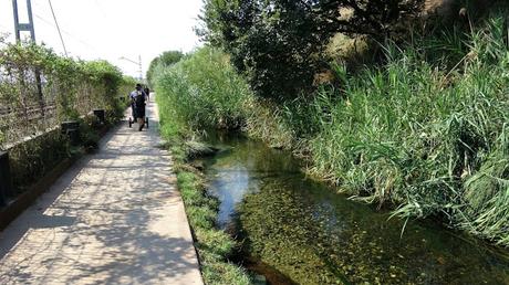 Rec Comtal | De Montcada Bifurcació a Torre Baró