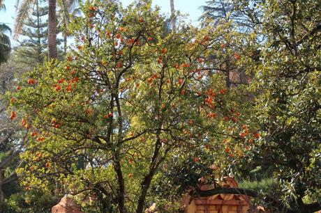 El Real Alcázar de Sevilla