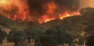 California: frente al fuego, Donald Trump declara el estado de un desastre natural.