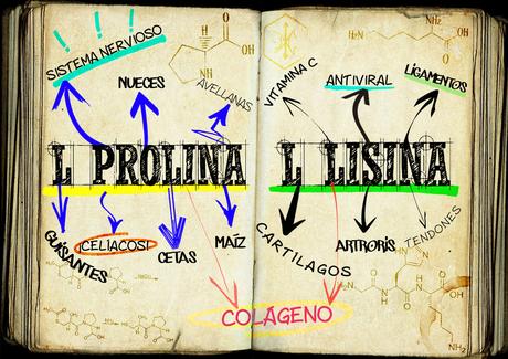 Qué son la L-Prolina y la L-Lisina?