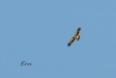 COGIENDO ALTURA POR CANTABRIA