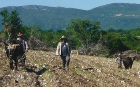 El Gobierno establece nuevas regulaciones a la posesión de tierras estatales en usufructo