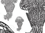 poema Deema Mahmood (Egipto)