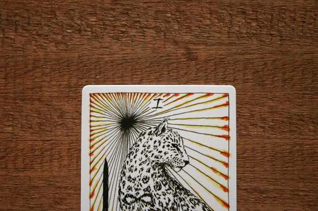 El Mago en The Wild Unknown Tarot wild unknown tarot el mago