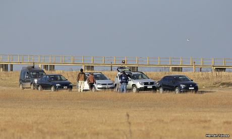 Censo Neotropical de Aves Acuáticas en Monte (julio 2018)