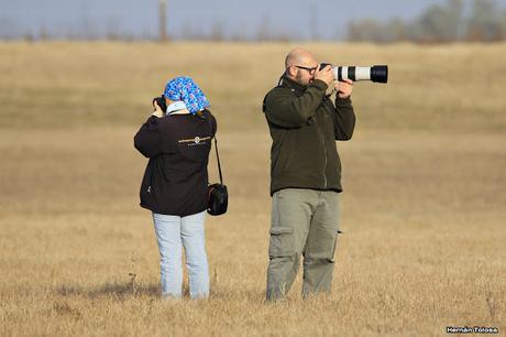 Censo Neotropical de Aves Acuáticas en Monte (julio 2018)
