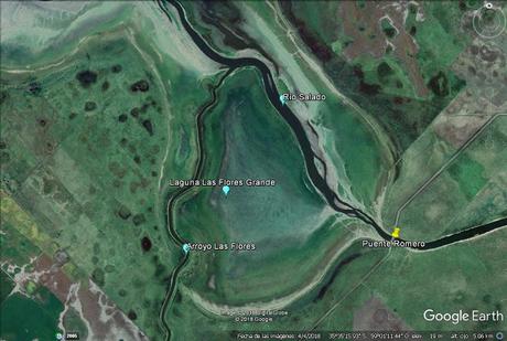 Censo Neotropical de Aves Acuáticas en Monte (julio 2018)