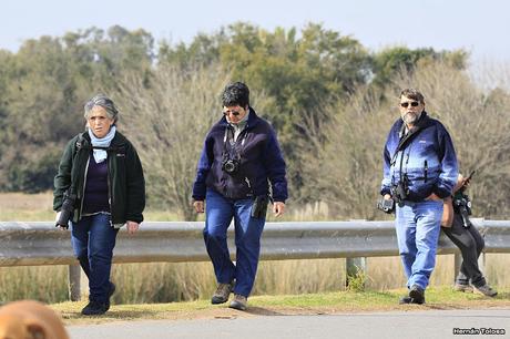 Censo Neotropical de Aves Acuáticas en Monte (julio 2018)