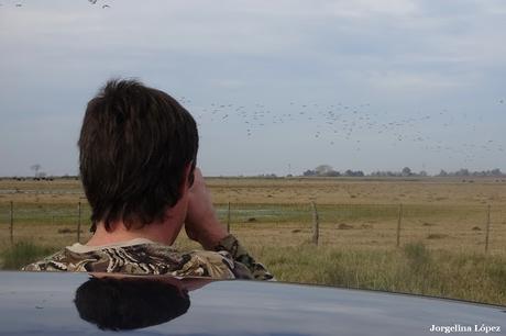 Censo Neotropical de Aves Acuáticas en Monte (julio 2018)