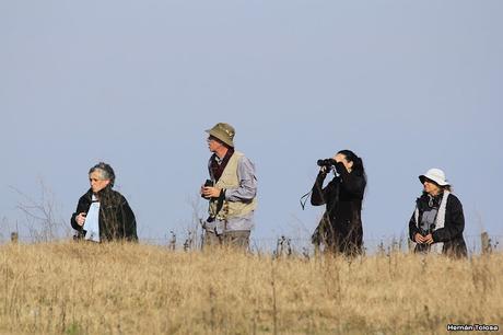 Censo Neotropical de Aves Acuáticas en Monte (julio 2018)