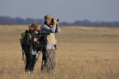 Censo Neotropical de Aves Acuáticas en Monte (julio 2018)