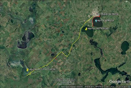 Censo Neotropical de Aves Acuáticas en Monte (julio 2018)