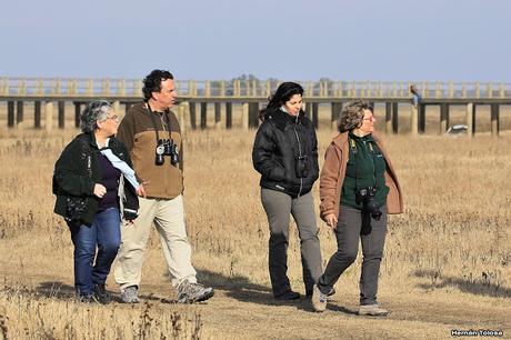 Censo Neotropical de Aves Acuáticas en Monte (julio 2018)