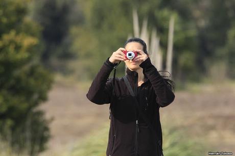Censo Neotropical de Aves Acuáticas en Monte (julio 2018)
