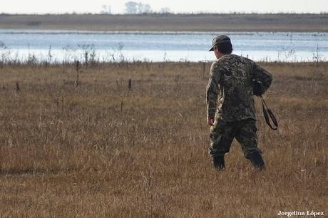 Censo Neotropical de Aves Acuáticas en Monte (julio 2018)