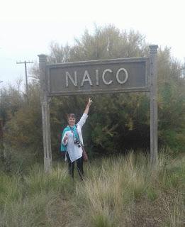 Naico