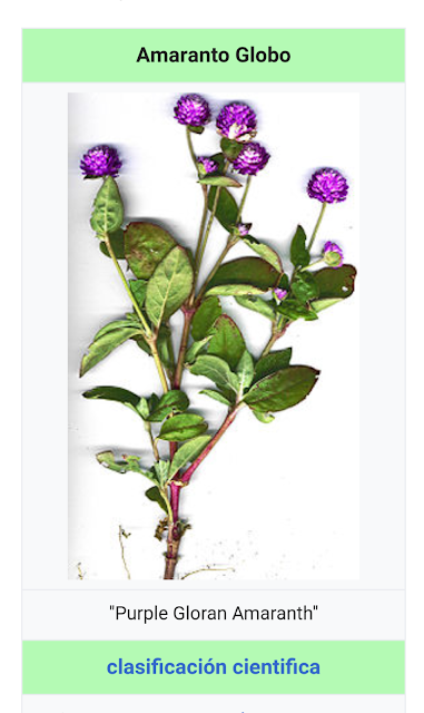 Helados más saludables y con propiedades antioxidantes