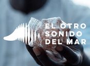 estas caracolas escucha otro sonido mar: historias refugiados sobrevivieron hasta llegar nuestro país